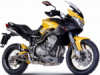 Benelli TRE-K 1130 AMZONAS