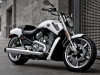 V-ROD 1250 MUSCLE
