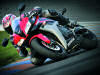 HONDA CBR 600 RR  2007
