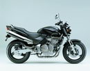 Honda 600 Hornet