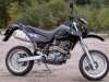 MZ 660 Baghira - Black Panther