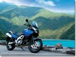 SUZUKI DL 650 V-STROM SUZUKI DL 650 V-STROM