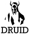 Druid Motorcycle Company