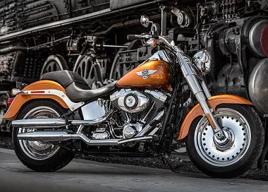 Harley-Davidson 1690 SOFTAIL FAT BOY FLSTF 2014